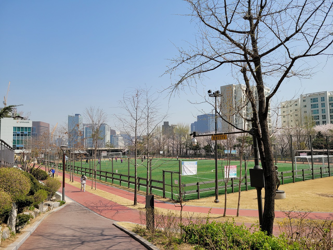 去年全国冠