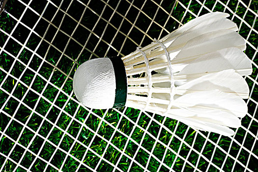 选手在国际 选手在国际