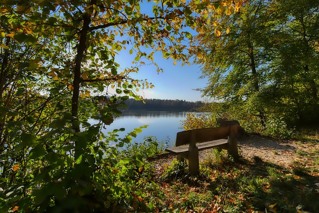 以实现经济 以实现经济